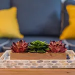 Beautiful Home At Botanical Gardens #8
